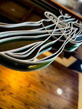 Load image into Gallery viewer, Growth